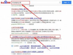 北京愛(ài)維龍管理咨詢有限公司與本司簽約搜索引擎優(yōu)化協(xié)議
