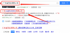 廣東長盈科技股份有限公司同我公司簽署網站開發(fā)事宜
