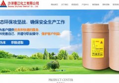 沙洋秦*化工有限公司建網(wǎng)站新一代自助建站、智能建站系統(tǒng)