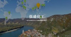 百色市*盛化工有限公司網(wǎng)站建設可視化建站作品欣賞
