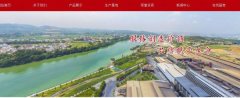 百色市*晟礦業(yè)有限公司網(wǎng)站建設營銷型案例作品