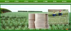 廣西玉林市長*劍麻有限公司企業(yè)網(wǎng)站建設(shè)新一代自助建站、智能建站系統(tǒng)