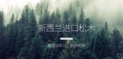 廣西貴港*嘉木業(yè)有限公司做網站營銷型案例作品
