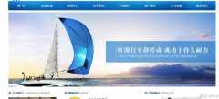 重慶市*成科技股份有限公司網(wǎng)站建設(shè)有創(chuàng)意的主題設(shè)計
