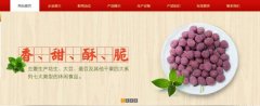 紅太*食品(榮成)有限公司制作網(wǎng)站新一代自助建站、智能建站系統(tǒng)