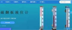 招遠市大*儀表有限公司企業(yè)網站建設參考網站